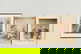 item-210142683=2