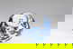 item-210144431=11