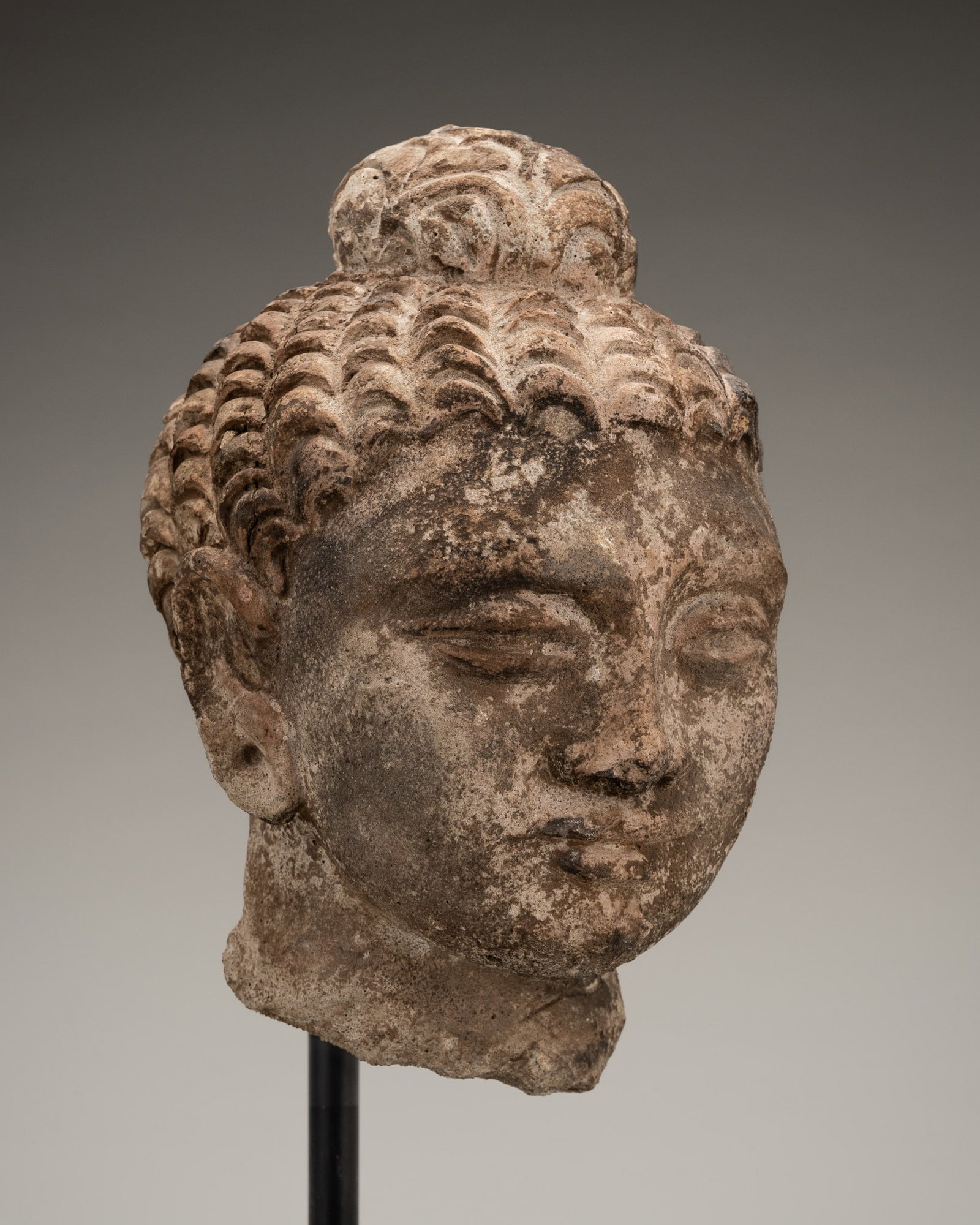 A STUCCO HEAD OF BUDDHA SHAKYAMUNI, ANCIENT REGION OF GANDHARA, 3RD-4TH CENTURY: A STUCCO HEAD OF BUDDHA SHAKYAMUNI, ANCIENT REGION OF GANDHARA, 3RD-4TH CENTURY Finely carved, the serene face modeled with a meditative expression marked by downcast eyes with neatly incised heavy li