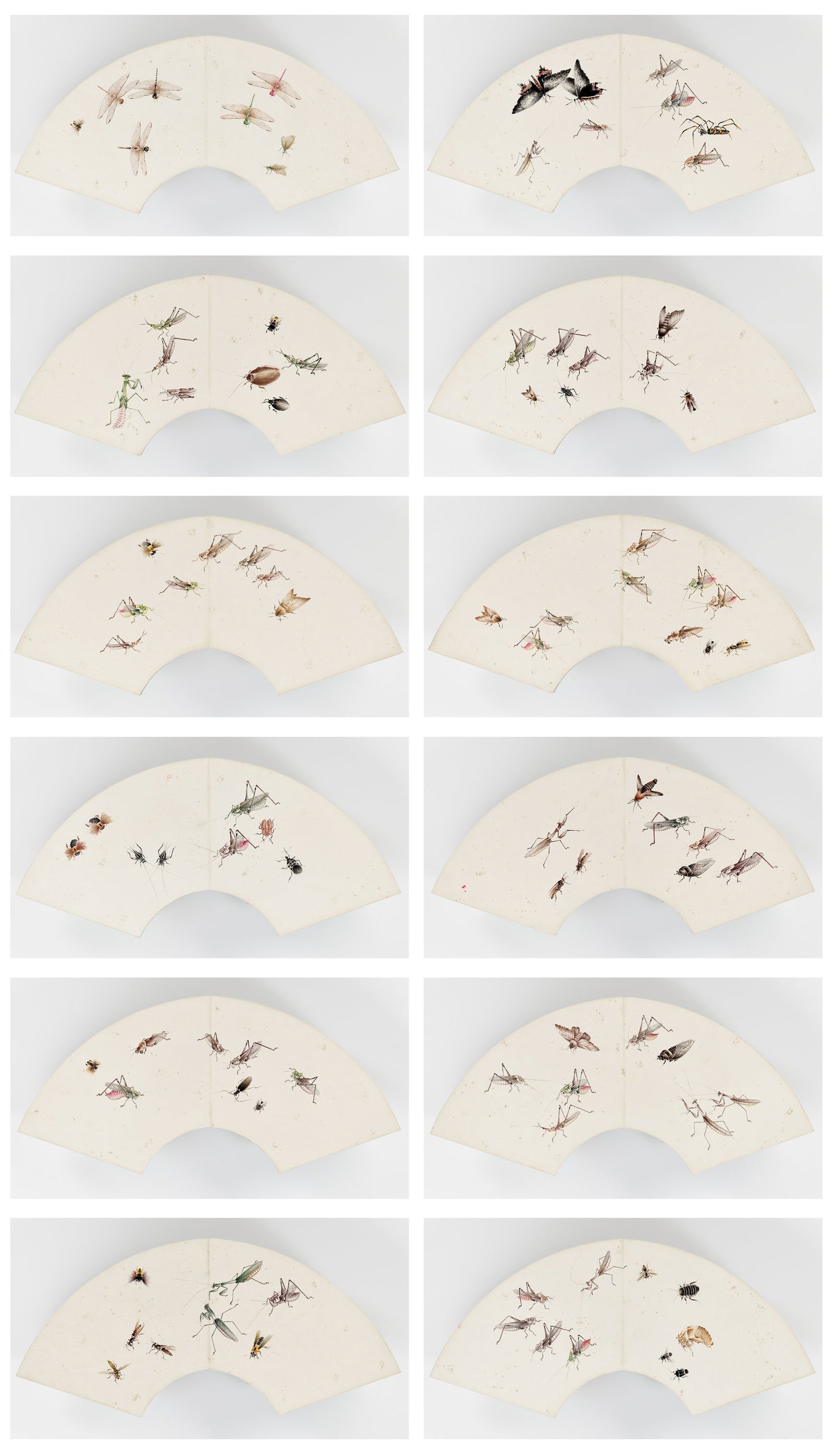 A FAN-SHAPED PAINTING ALBUM WITH 101 DIFFERENT INSECTS, FIRST HALF OF 20TH CENTURY (1 of 20)