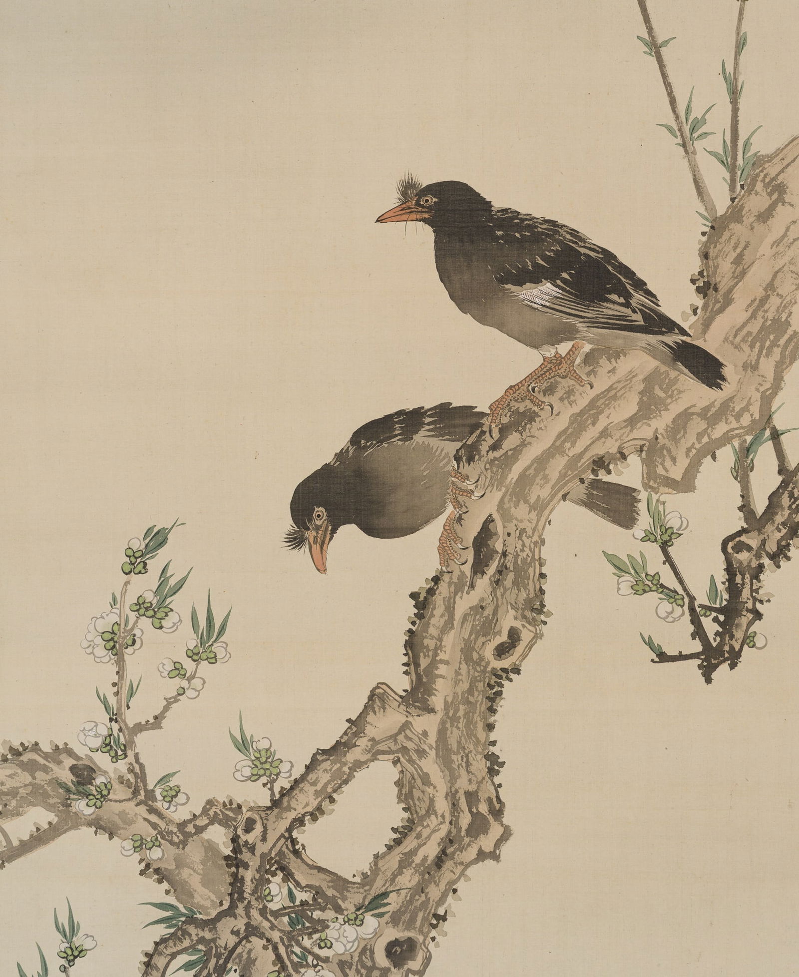 MACHINO KAJO: CROWS AND PEACH TREE (1 of 6)