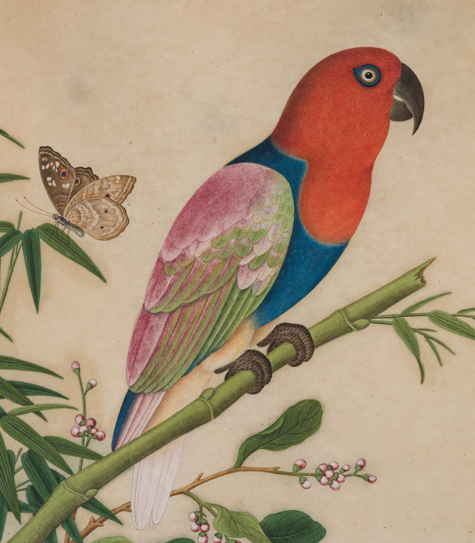 A FINE PAINTING OF AN ECLECTUS PARROT ON A BAMBOO SHOOT, QIANLONG PERIOD (1 of 15)