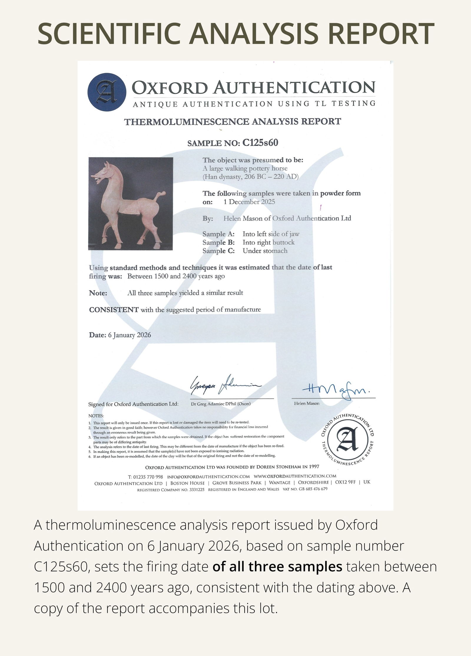 A MONUMENTAL AND HIGHLY IMPORTANT SICHUAN POTTERY HORSE, HAN DYNASTY, THE LARGEST EVER RECORDED FROM - 5