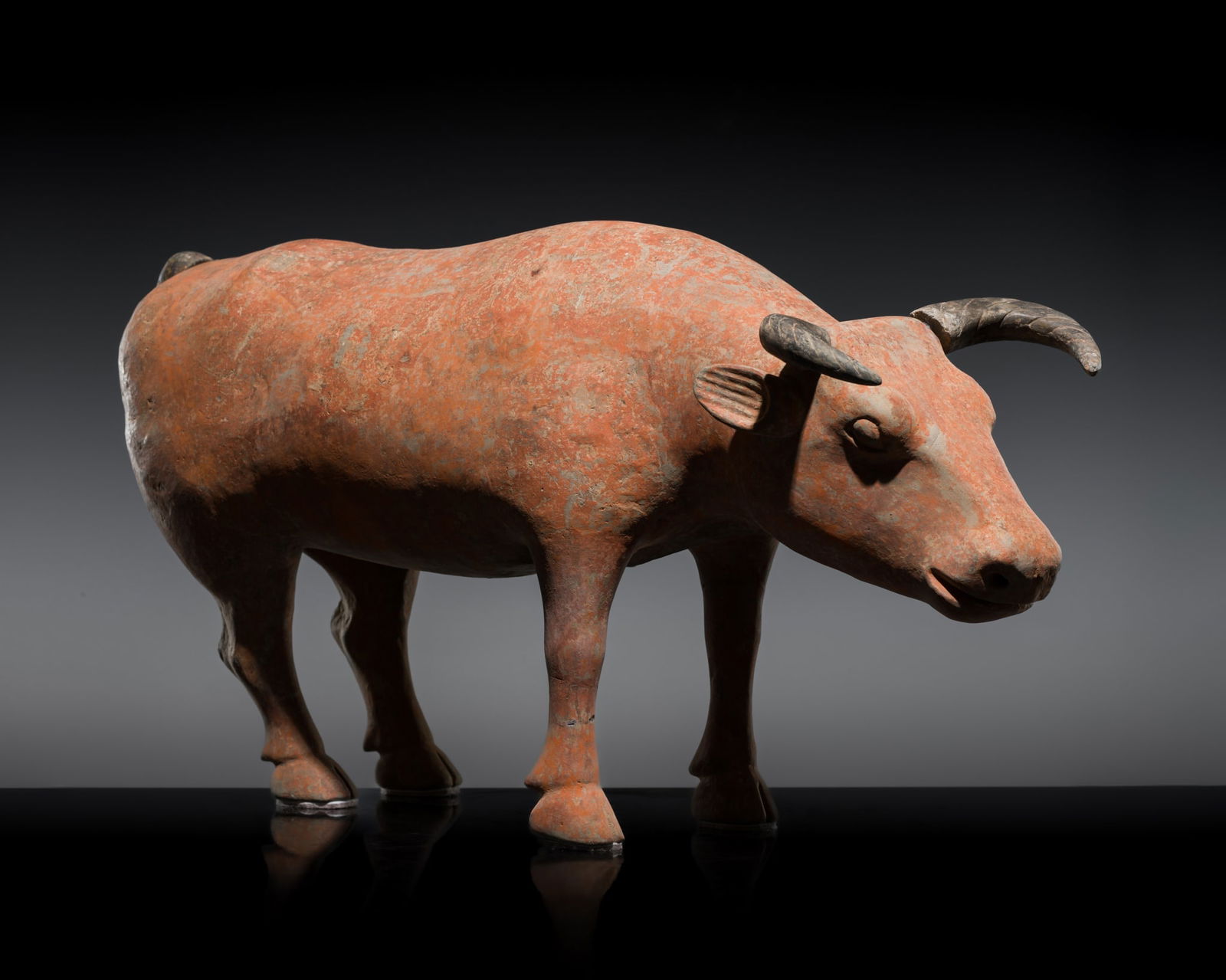 A VERY LARGE (73.5 CM) PAINTED POTTERY FIGURE OF AN OX, HAN DYNASTY (1 of 18)