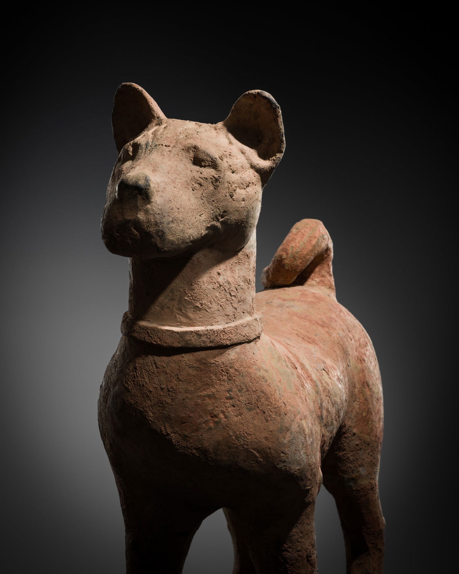 A MASSIVE SICHUAN POTTERY FIGURE OF A GUARD DOG, HAN DYNASTY, HEIGHT 67 CM (1 of 14)
