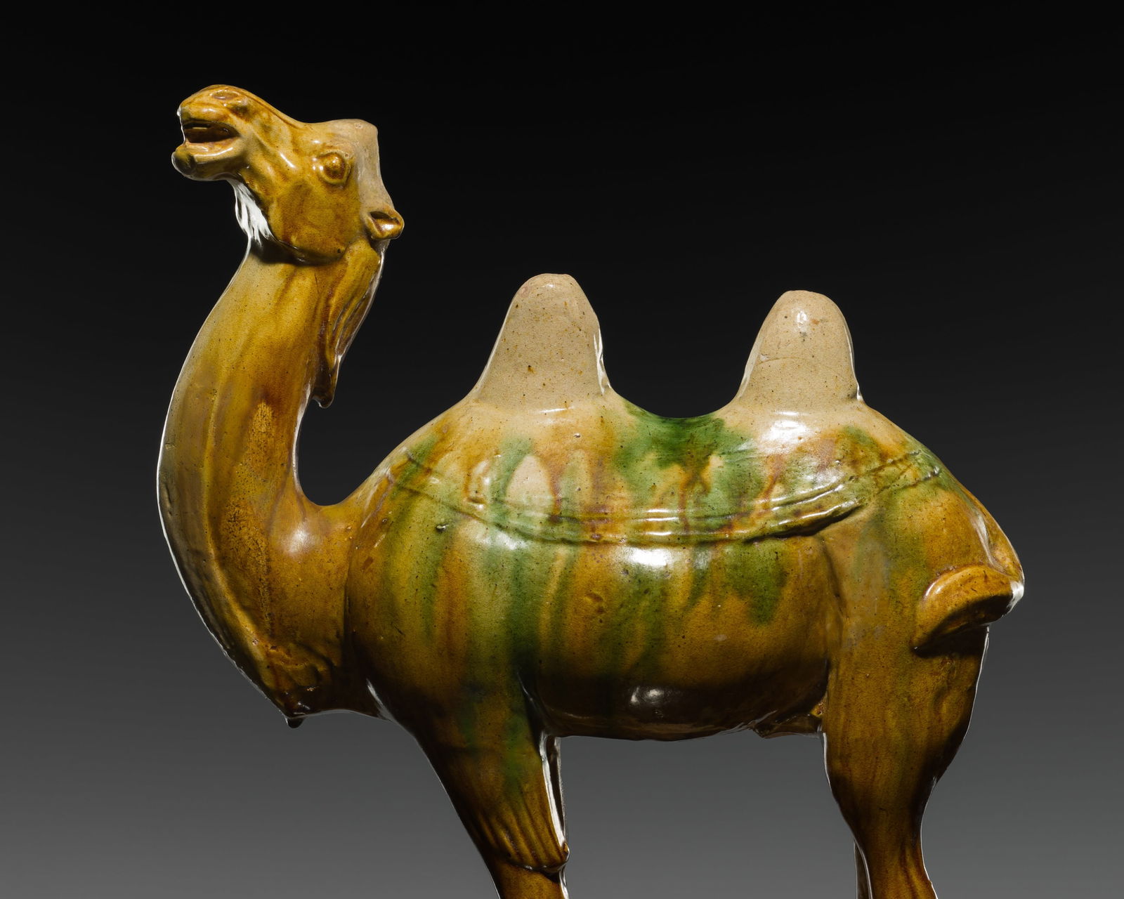 A SMALL SANCAI-GLAZED POTTERY FIGURE OF A BACTRIAN CAMEL, TANG DYNASTY (1 of 18)