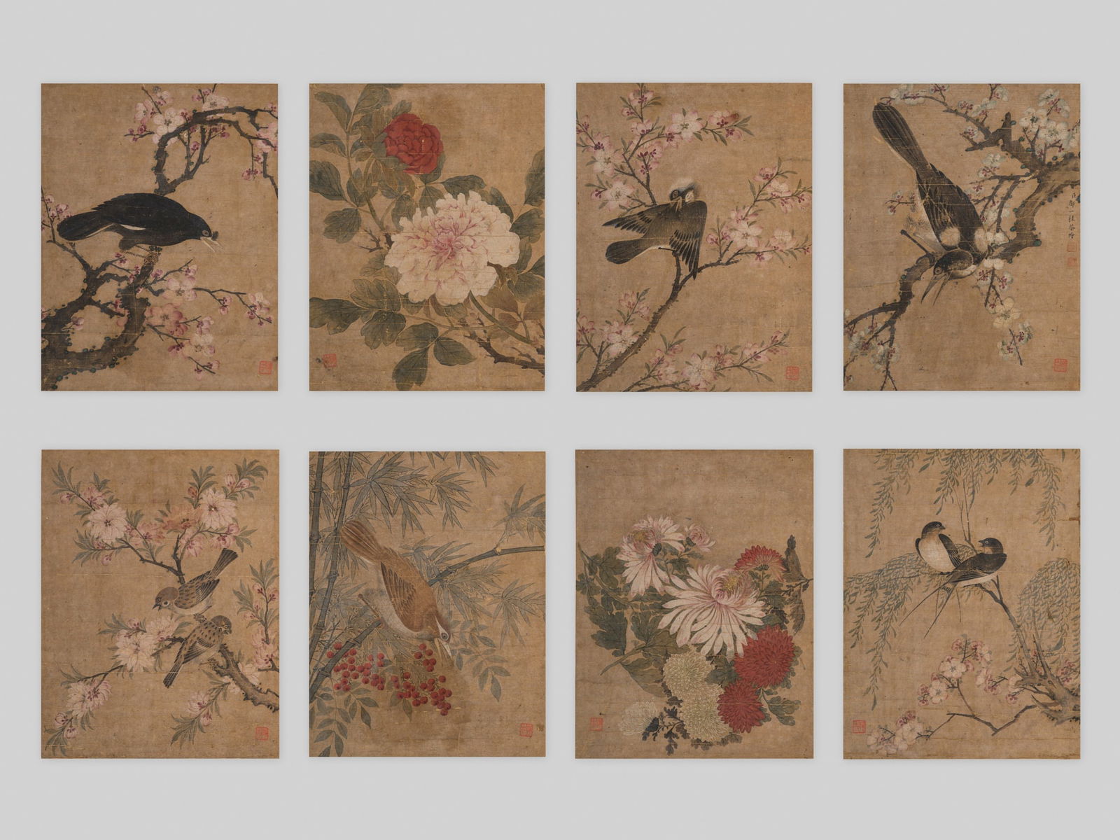 AN ALBUM OF EIGHT 'FLOWERS AND BIRDS' PAINTINGS, BY ZOU YIGUI (1686-1772) (1 of 20)