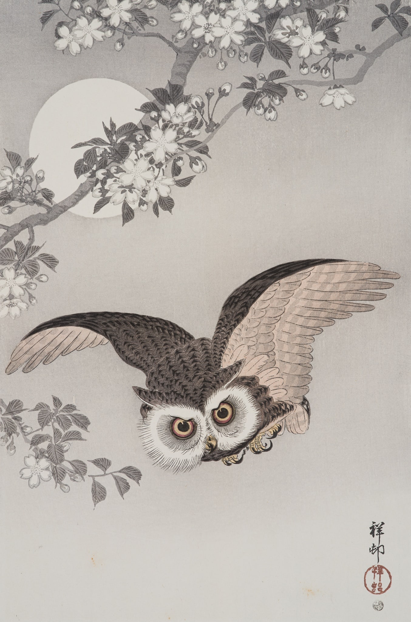 OHARA KOSON: SCOPS OWL IN FLIGHT, CHERRY BLOSSOMS AND FULL MOON: OHARA KOSON: SCOPS OWL IN FLIGHT, CHERRY BLOSSOMS AND FULL MOON By Ohara Koson (1878-1945), signed Shoson and sealed Shoson Japan, c. 1924-1930 Color woodblock print on paper. Vertical oban. Signed Sh