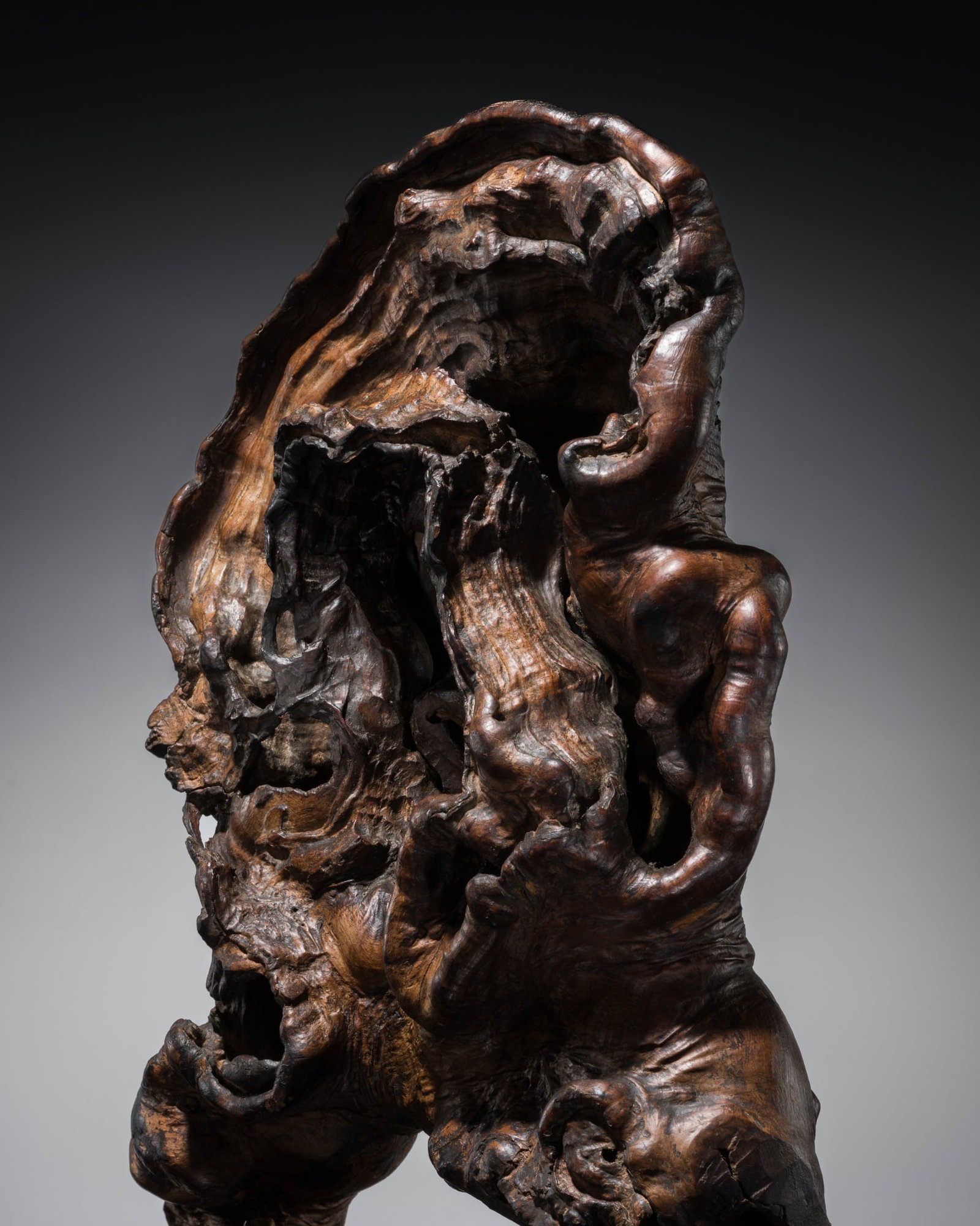 A MAGNIFICENT ROOTWOOD 'SCHOLAR'S ROCK', QING DYNASTY: A MAGNIFICENT ROOTWOOD 'SCHOLAR'S ROCK', QING DYNASTY China, 1644-1912. The natural swirls and knots of the brown and amber-toned wood mimic the form of a perforated scholar's rock, with numerous hole