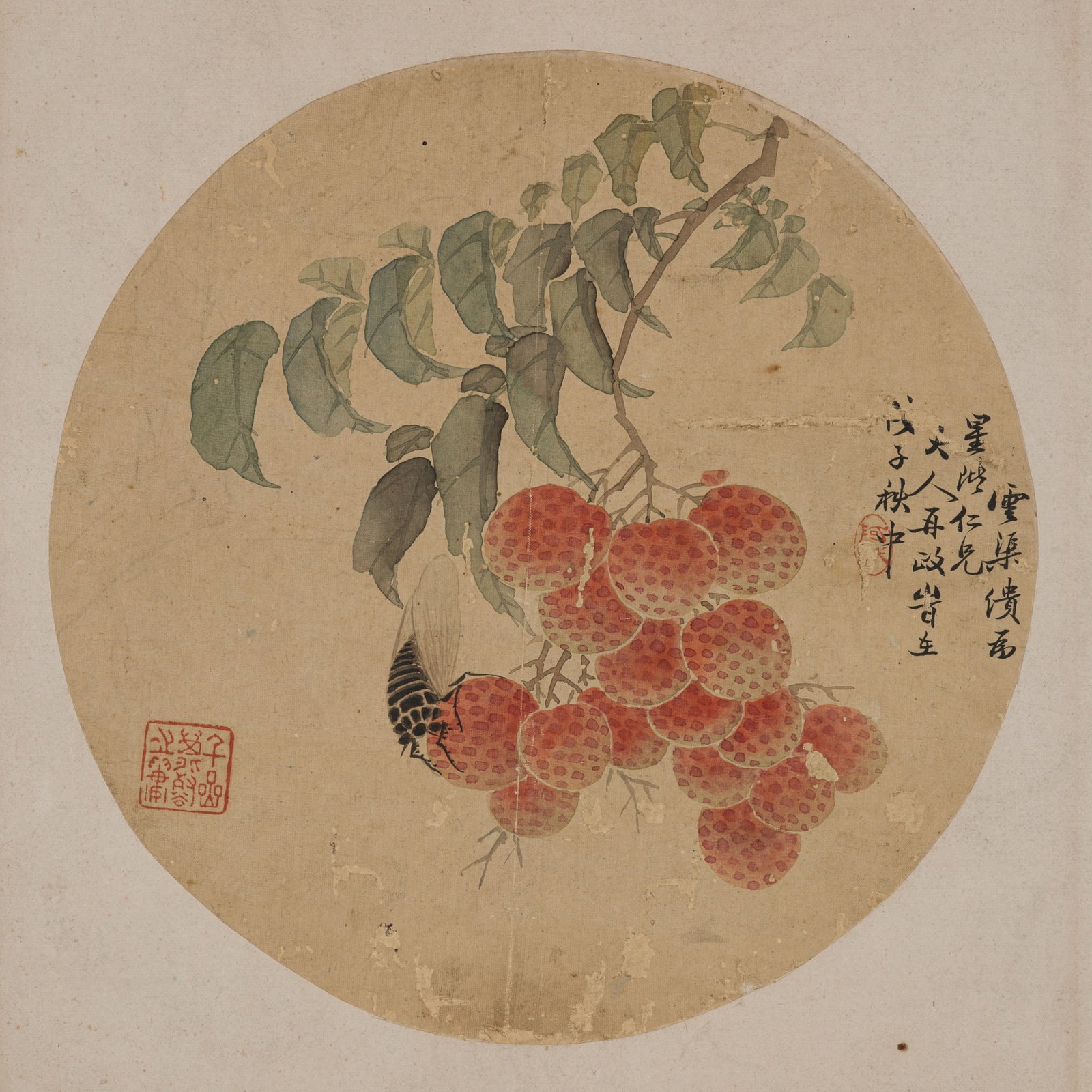 LYCHEES AND CICADA', QING DYNASTY: 'LYCHEES AND CICADA', QING DYNASTY China, 1644-1912. Ink and watercolors on silk. Of circular form, painted in vivid colors to depict a fruiting lychee branch with leaves, upon which a naturally rende