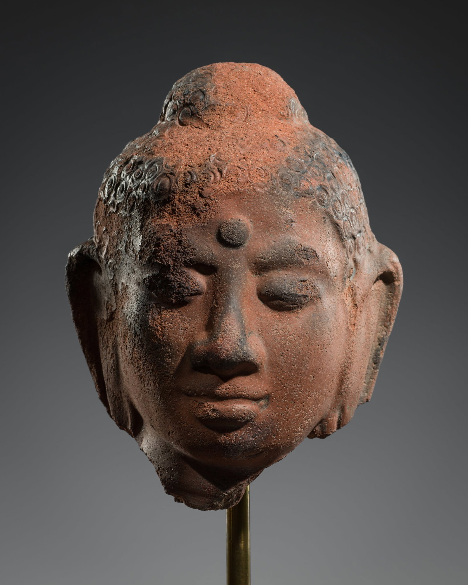 A RARE TERRACOTTA HEAD OF BUDDHA, GUPTA PERIOD, CIRCA 3RD-5TH CENTURY (1 of 13)