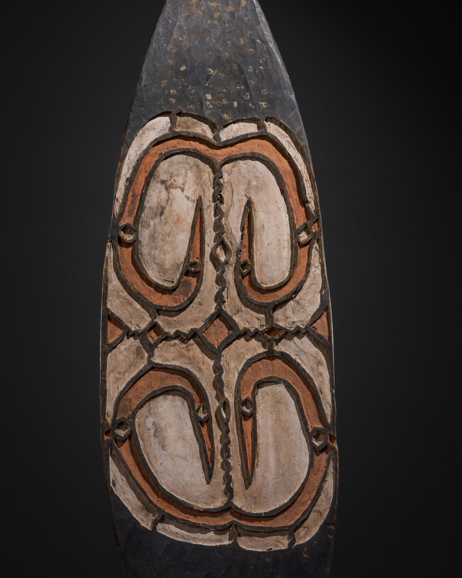 A PAINTED MANGROVE WOOD WAR SHIELD, JAMASI, ASMAT, MID-20TH CENTURY (1 of 15)