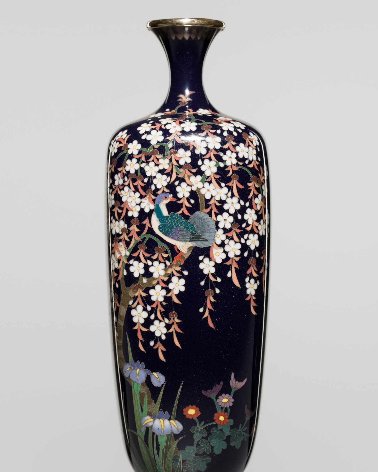 KIN’UNKEN: A FINE MIDNIGHT-BLUE CLOISONNÉ ENAMEL ‘DOVE AMID WISTERIA’ (1 of 16)