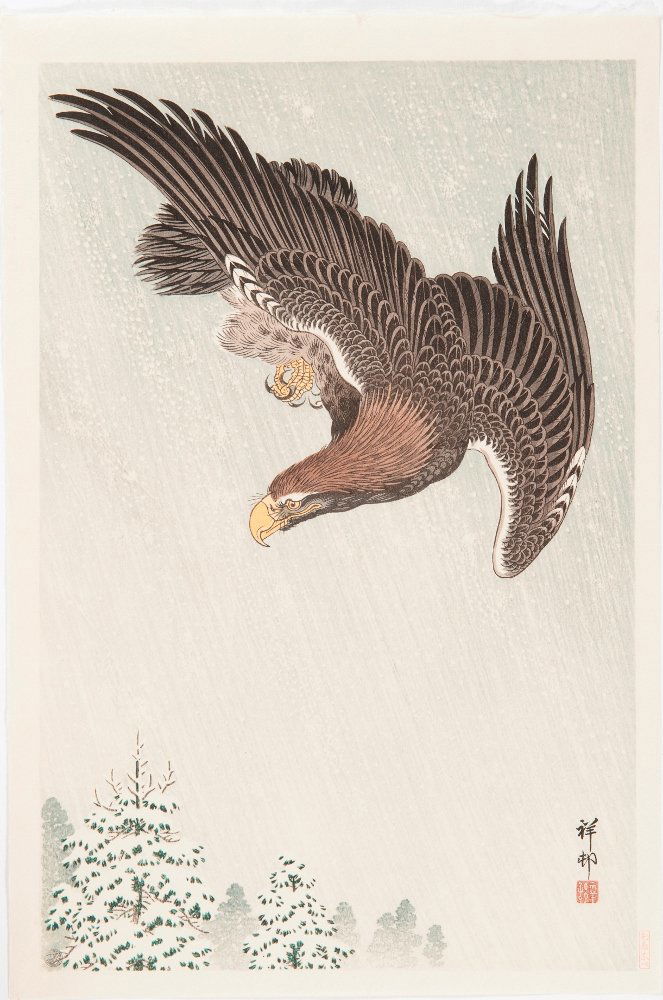 OHARA KOSON (FROM 1912 SHOSON) 1877 - 1945: Original woodblock print.Japan, 1900/10 OHARA SHOSON (KOSON) 1877 - 1945. Fliegender Adler bei Schneefall. Original-Farbholzschnitt. Signatur: Shoson. Siegel: Shoson. Exzellent in Druck und Farbe, Ers