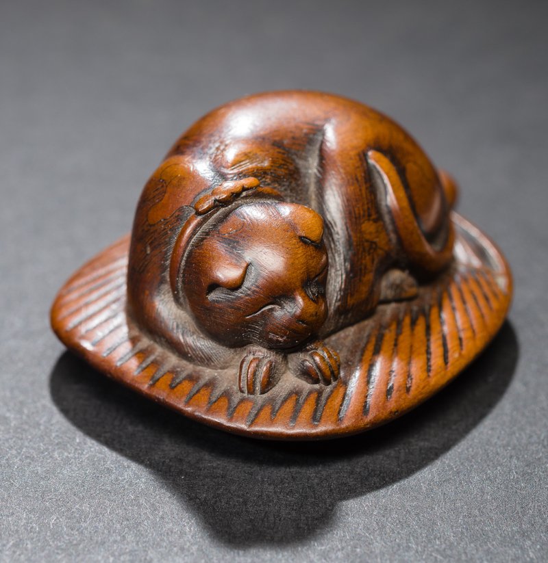 CAT SLEEPING ON FAN: Netsuke, wood. Japan, early 19th cent. A very good old depiction with fine rounded form. The well fed cat curled up in sleeping position rests with crossed front paws. The leaf fan bears a radially ri