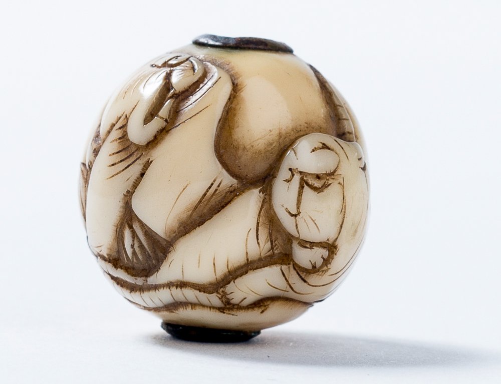 KAZUYUKI: TWO TIGERS IN BAMBOO (1 of 5)