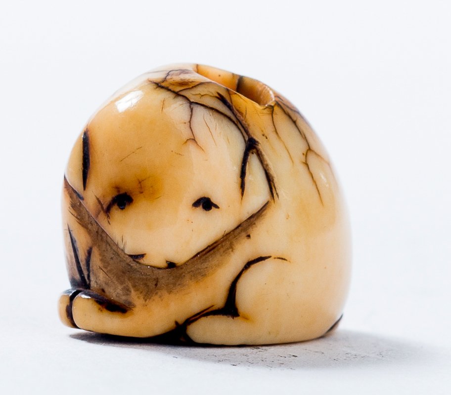 A RECLINING DOG (1 of 5)