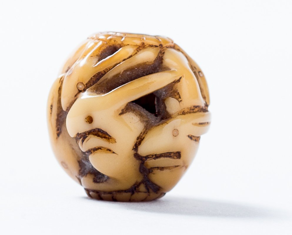 SEVEN RABBITS (1 of 5)