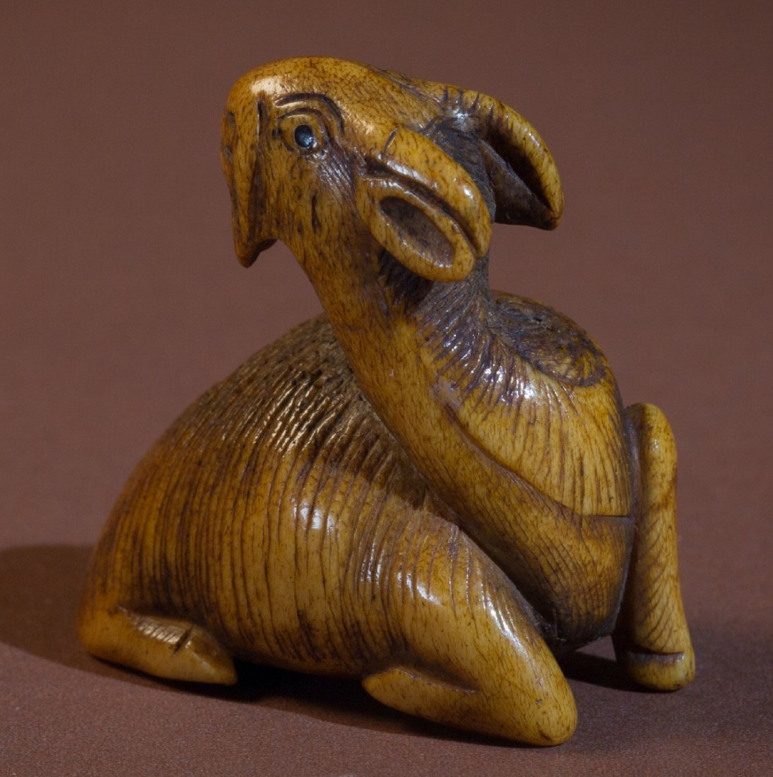 RECUMBENT GOAT (1 of 4)