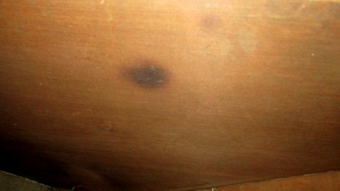Walnut Greene County Tenn. Corner Cupboard - 6