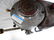 Evinrude Trolling Motor