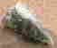 item-117735170=2