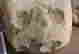 item-117735174=2