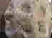 item-117735174=3