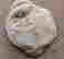 item-117735183=3