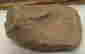 item-117735185=2