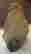 item-117735189=2