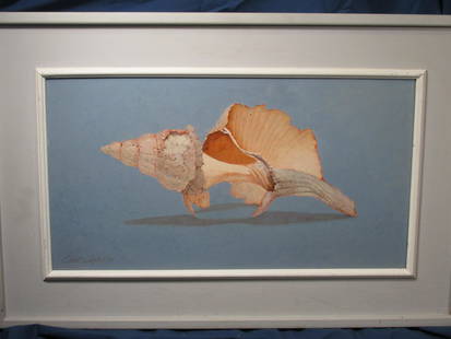 Clint Carter Am/Georgia Conch Shell: Signed lower left, dated 1975, oil on masonite, artists card showing exhibitions on the back, the copyright notice is attached, in extremely crisp and fine condition, image size is 12 x 24 framed 19