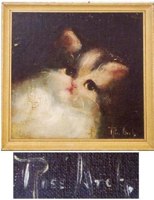 Cat by Rose Archer  (1 of 1)