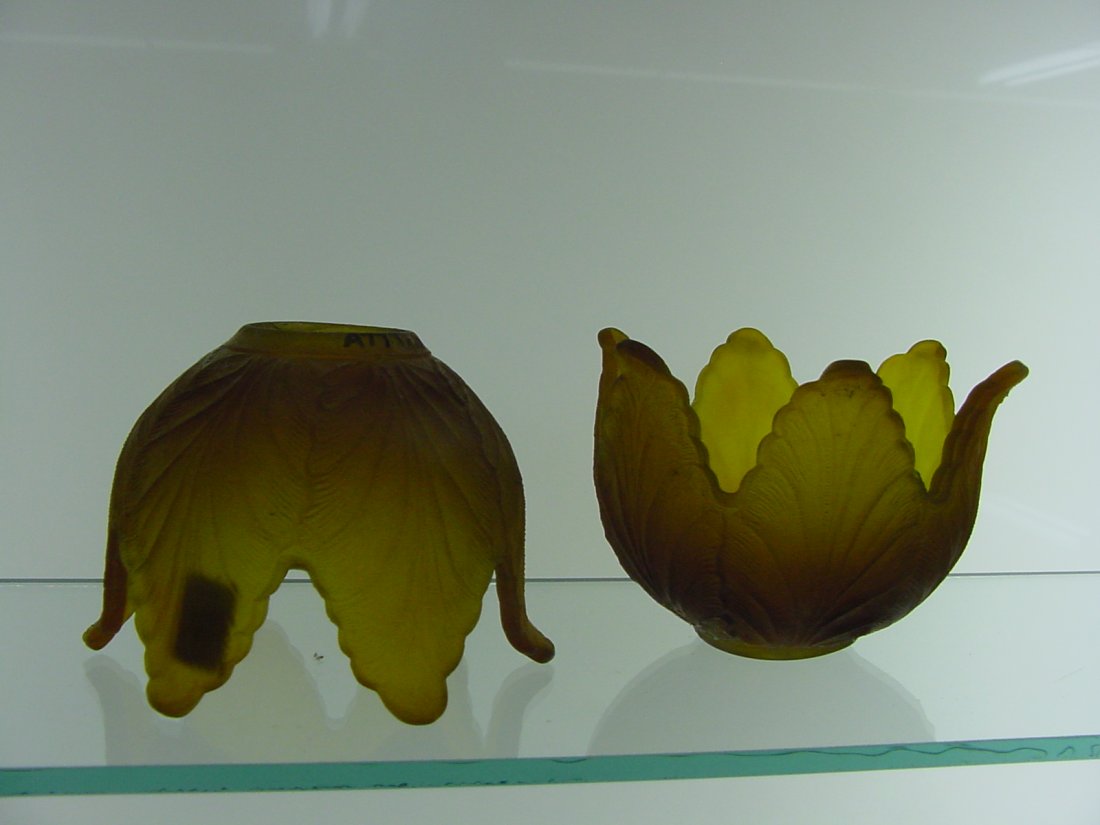 Pr. Amber Shades (1 of 1)