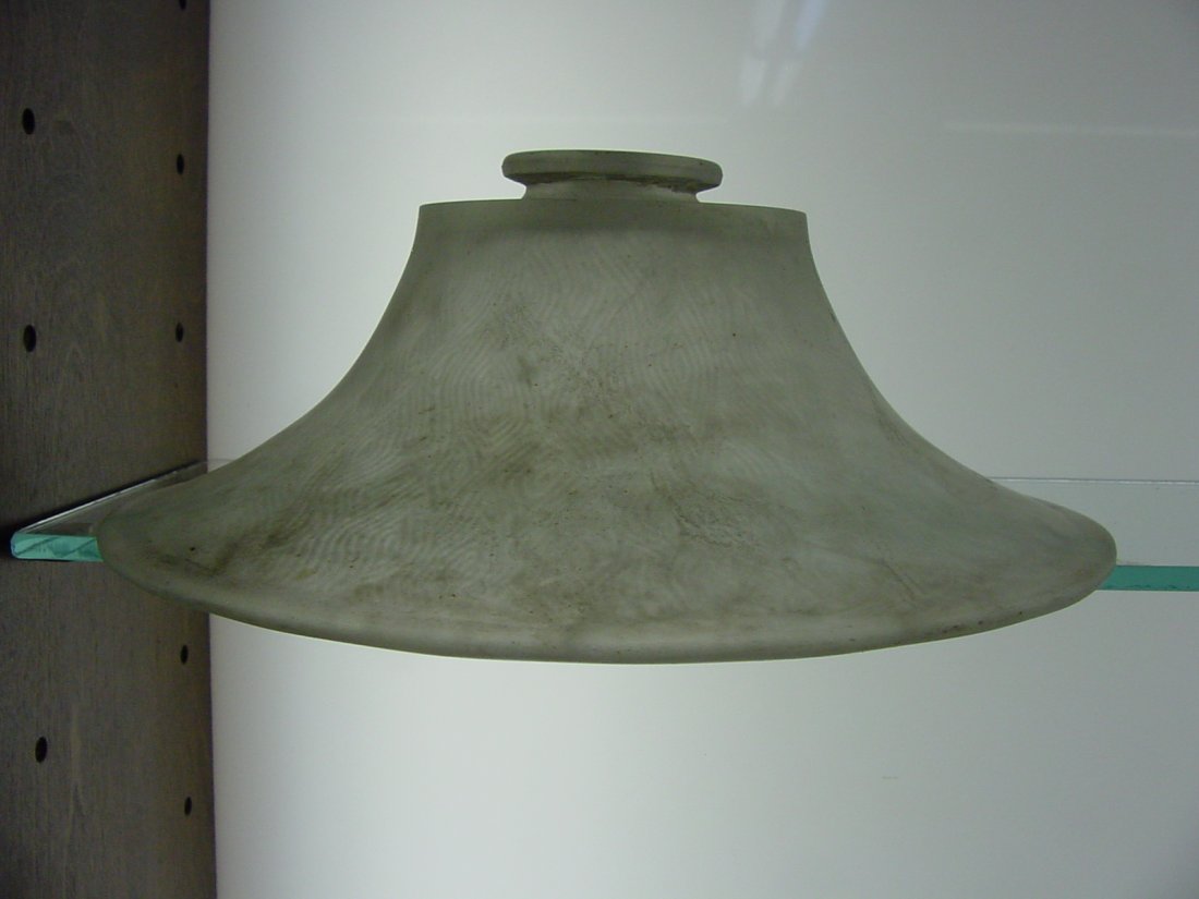 Frosted Glass Shade (1 of 2)
