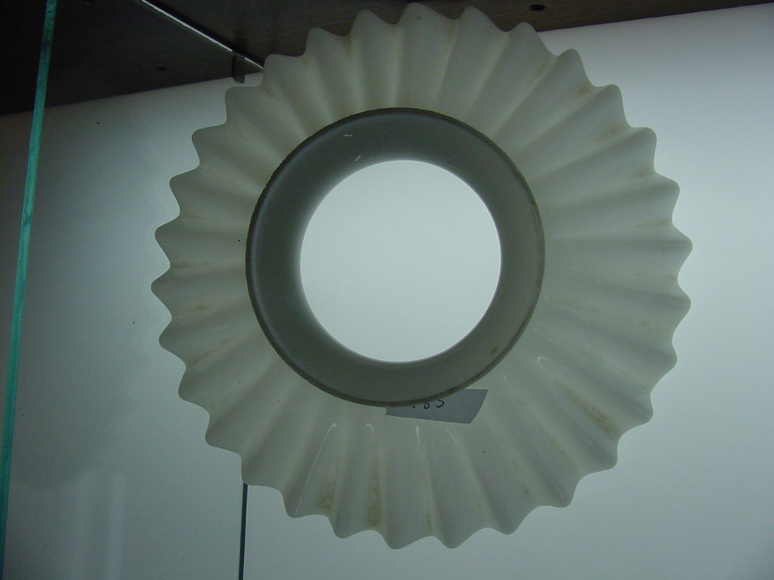 Petticoat Shade, Old (1 of 1)