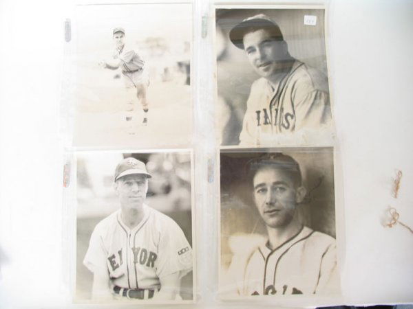 Braces nick werber essay 07 image