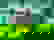 item-827111=2
