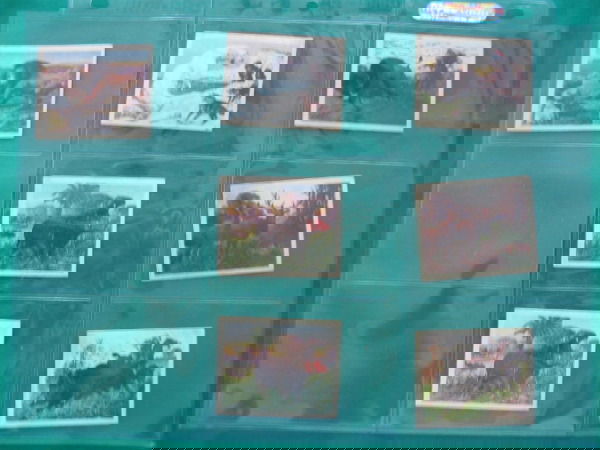 BIG GAME Peanut Blocks Cards (7) c. 1950: Planters Nut & Choc.