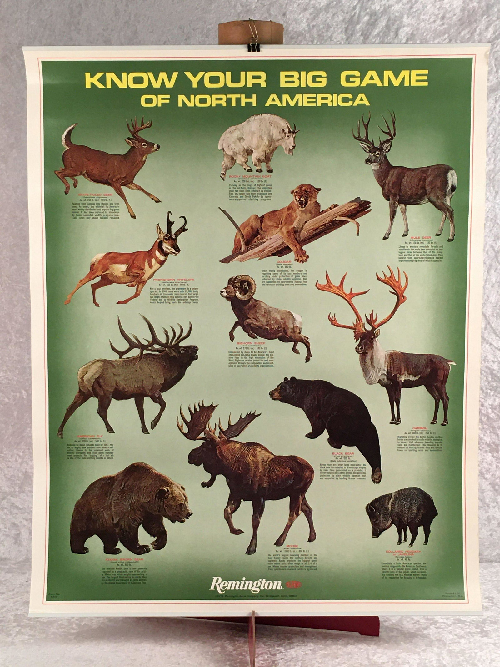 (2) Remington Posters Ca. 1973 in Original Mailing Tube: (2) Remington Posters Ca. 1973 in Original Mailing Tube with Standups. Know Your Big Game of North America, Know your Big Game Cartridges, Ca. 1973 23" X 29"