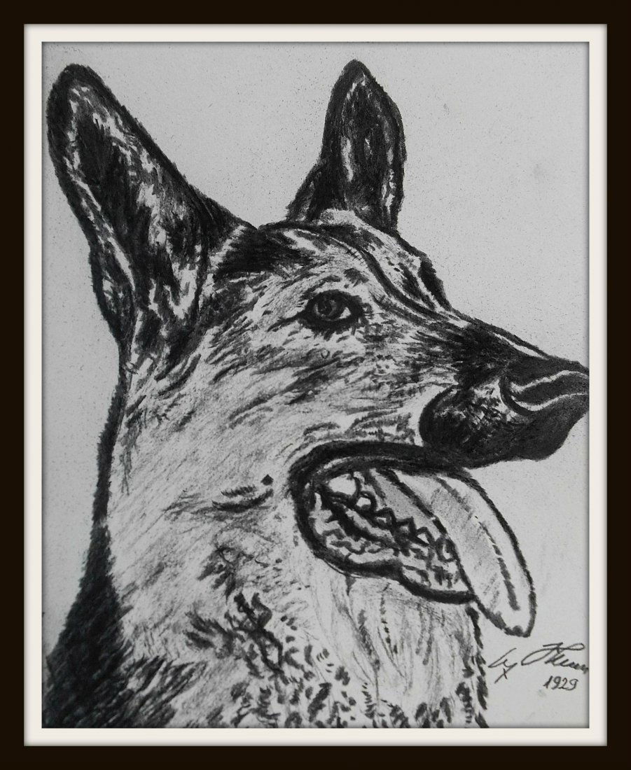 ADOLF HITLER DRAWING OF GERMAN SHEPHERD.: A drawing by Adolf Hitler probably of Blonda who was born in 1926. Additionally signed by Hitler and dated. Professionally mounted and framed in wood. Before the famous Blondi, Hitler owned two German