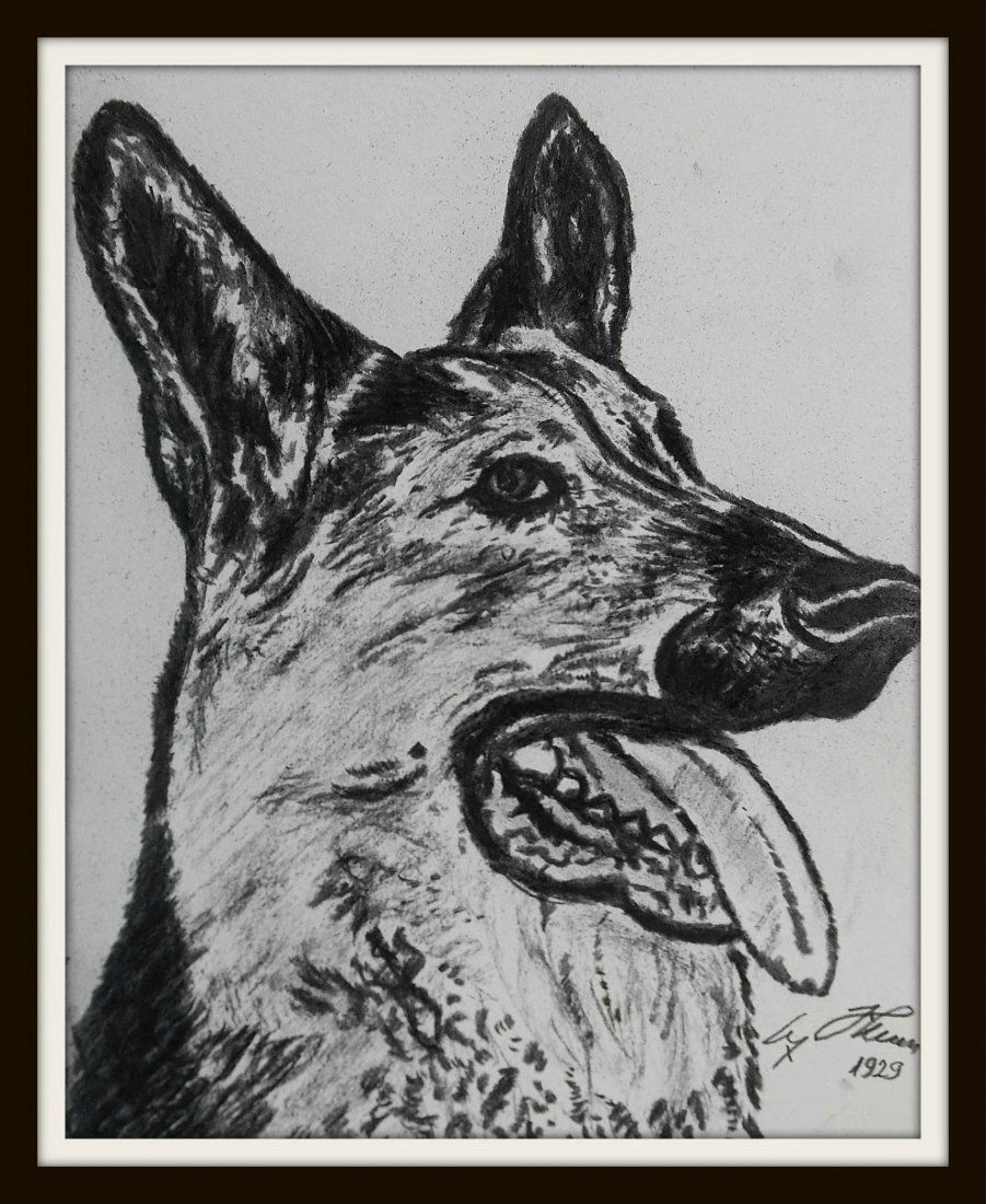 ADOLF HITLER DRAWING OF GERMAN SHEPHERD.: A drawing by Adolf Hitler probably of Blonda who was born in 1926. Additionally signed by Hitler and dated. Professionally mounted and framed in wood. Before the famous Blondi, Hitler owned two German
