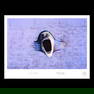 Pink Floyd - The Wall - The Scream - Ltd Edition Lithograph