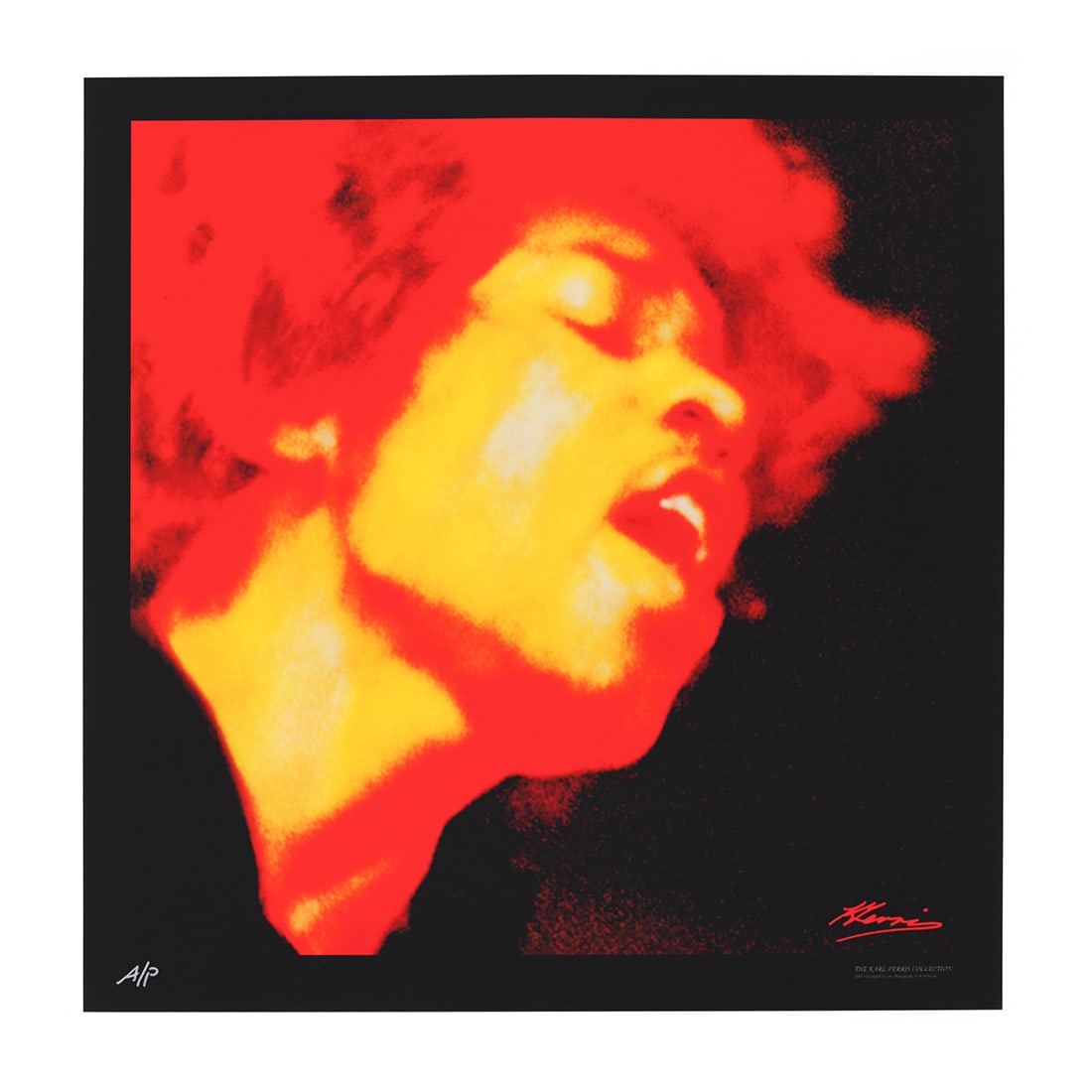 Jimi Hendrix - Electric Ladyland - 2011 Ltd Edition Print: JIMI HENDRIX (1942-1970 American Rock Guitarist, Singer-Songwriter and Musician) Original & 2011 Karl Ferris 'Electric Ladyland' Limited Edition Numbered Print (47/750). Artist: Karl Ferris. First