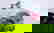 item-7717189=7