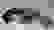 item-59398598=4