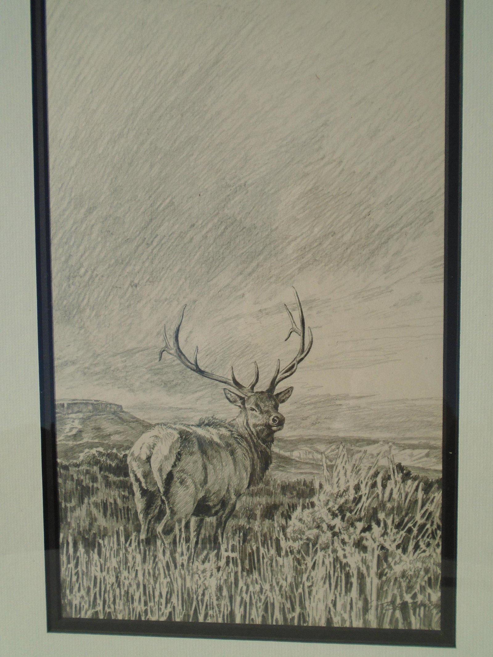 ORIGINAL GREG BEECHAM PENCIL ART DRAWING: ORIGINAL PENCIL SIGNED LOWER RIGHT, ELK DRAWING BY GREG BEECHAM FAMOUS ARTIST ILLUSTRATOR. IMAGE 9" BY 14 1/2". FRAME 16 1/2 BY 20 1/2. FIELD & STREAM 1988 MAGAZINE THAT INSPIRED THE IMAGE INCLUDED. (