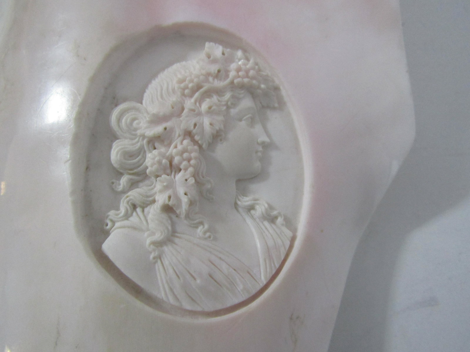 MUSEUM QUALITY ANGEL SKIN CAMEO IN SHELL DISPLAY: FABULOUS CARVING, VINTAGE ESTATE. SHELL 10 INCHES BY 4.5 INCHES. CAMEO 44MM BY 57MM. WEIGHS 529.5 GRAMS. EXCELLENT CONDITION. USA SHIPPING $10.