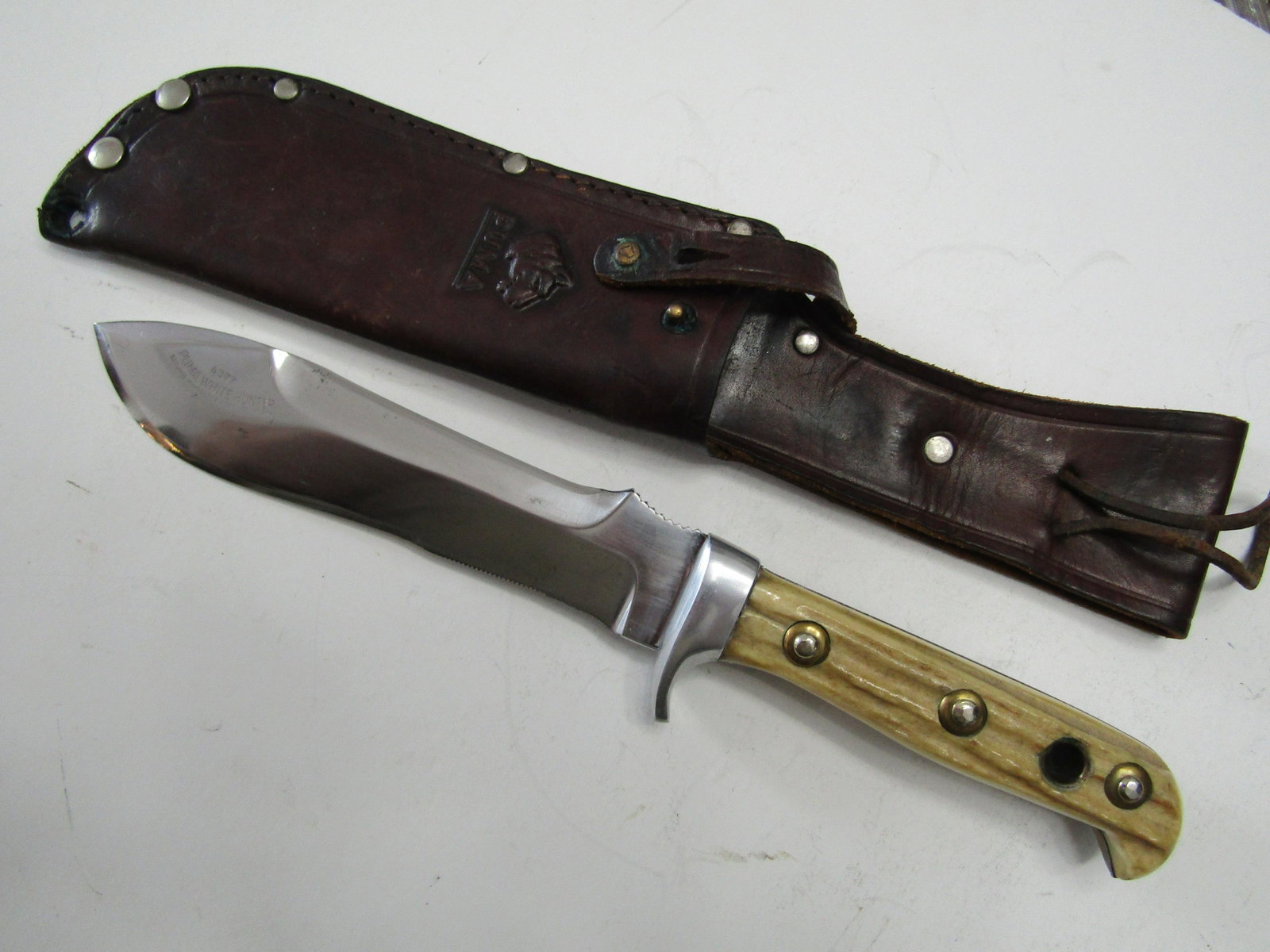 VINTAGE PUMA WHITE HUNTER KNIFE.: PUMA WHITE HUNTER 11 INCH WITH 6 1/4 INCH BLADE WITH SHEATH. STAG GRIPS. uS SHIPPING $10