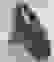 item-93401087=2